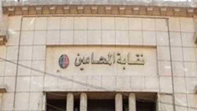 نظر الطعن على تشكيل هيئة مجلس نقابة المحامين ٧ ديسمبر