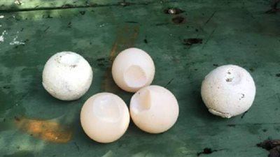 باحثون يطورون 