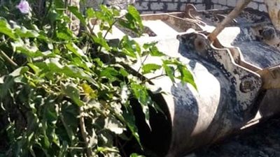 أبو حماد تتصدى لـ4 حالات تعد على الأراضي الزراعية