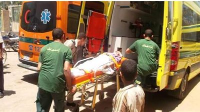 إصابة ١١ شخصاً في تصادم ميكروباص بعمود إنارة بالوادي الجديد