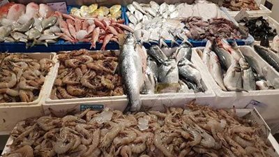 أسعار الأسماك اليوم الثلاثاء 2020/10/20