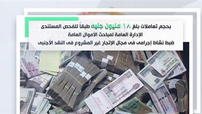 رصد قضايا غسل أموال وتهرب ضريبي ونصب بأكثر من ربع مليار جنيه  | فيديو