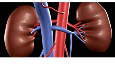 أعراض أمراض الكلى