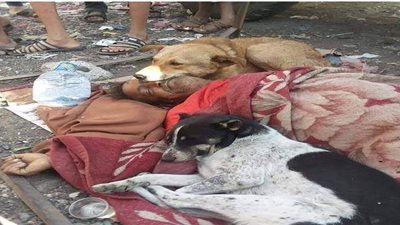 الوفاء في صورة.. الكلاب تودع صاحبها بعد وفاته في سوق الدليل باليمن