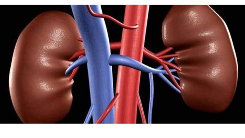 أعراض أمراض الكلى