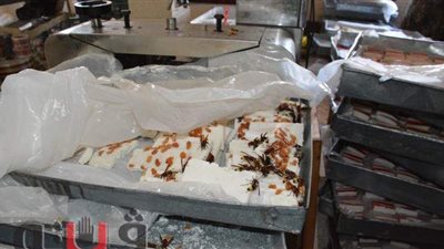 تشميع مصنع حلويات وتحرير ٩٩ مخالفة خلال جولة لمحافظ الغربية | صور