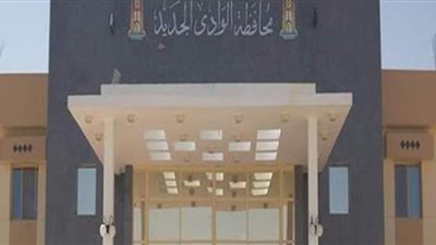 حملة 100 مليون صحة توقع الكشف الطبي على 91 ألف مواطن بالوادى الجديد