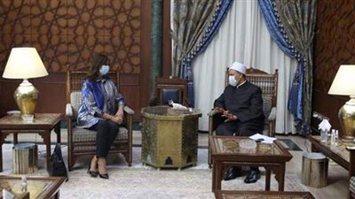 شيخ الأزهر: ما تشهده بلادنا من حروب  صنيعة الغرب لبيع أسلحته