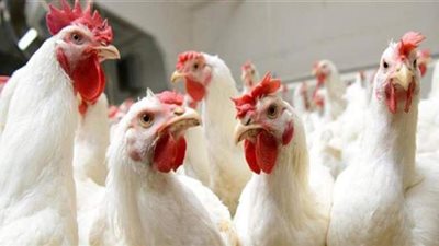 بالتزامن مع الطقس السيئ.. 