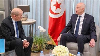 الرئيس التونسي: التدخلات الخارجية في ليبيا تزيد الوضع تعقيدا