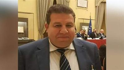 إشادات واسعة بمشاركة المصريين في الخارج بالانتخابات التشريعية