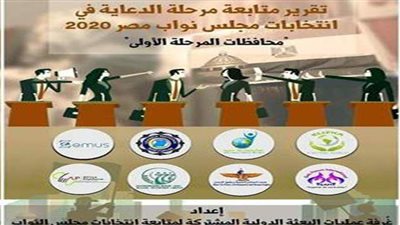 تقرير  البعثة الدولية لمتابعة انتخابات النواب.. عقيل: القوانين المصرية التزمت بالمعايير الدولية.. ورصد عدد من المخالفات