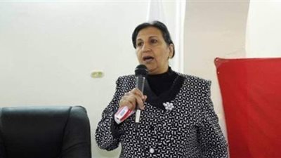 القومى للمرأة يستخرج ألف بطاقة  رقم قومي للسيدات والفتيات بالوادي الجديد