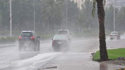 الأرصاد تعلن طقس الـ٤٨ ساعة المقبلة.. انخفاض بدرجات الحرارة وأمطار رعدية