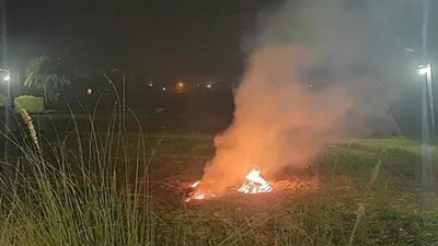 تحرير ٦٦ محضرا خلال حملة لمواجهة الحرق المكشوف لمخلفات الزراعة بأسيوط