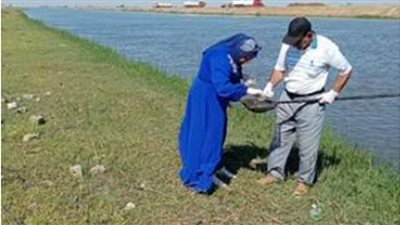 اختتام فعاليات حملة القضاء على البلهارسيا بالشرقية