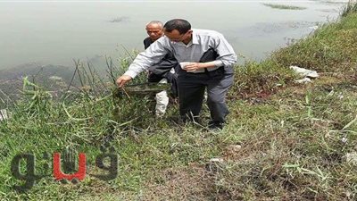 الشرقية تعلن انتهاء  حملة جمع ومكافحة القواقع بمنطقة سهل الحسينية