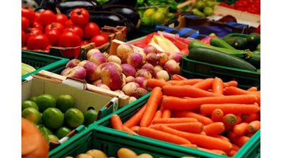 الزراعة: ارتفاع صادرات مصر الزراعية الى أكثر من 4.4 مليون طن