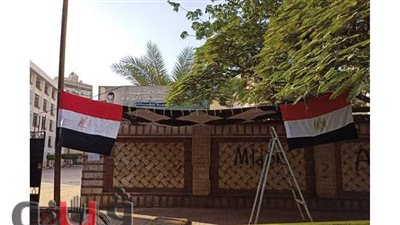 تطهير  وتجهيز لجان انتخابات مجلس النواب بالعجوز والدقي| صور