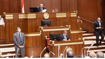 ننشر تشكيل لجنة إعداد اللائحة الداخلية لمجلس الشيوخ