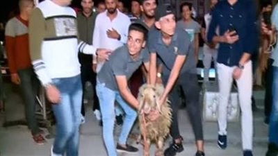 بعد رهانه على خسارة الأهلي.. شوقي السعيد يذبح خروفًا على الهواء | فيديو