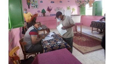 محافظ الوادي الجديد : انتظام عملية الاقتراع بدون مشكلات