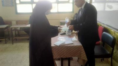 إقبال كثيف للناخبين على لجان ناهيا بالجيزة للإدلاء بأصواتهم بانتخابات النواب | صور