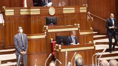 بدء أعمال لجنة إعداد لائحة مجلس الشيوخ.. واستكمال استقبال الأعضاء المعينين غدا