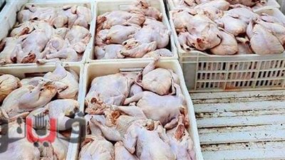 ضبط مجزر مخالف يعيد تعبئة الدجاج المجمد في الشرقية