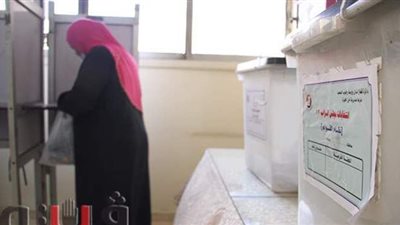 خبيرة ترويج سياسي: 