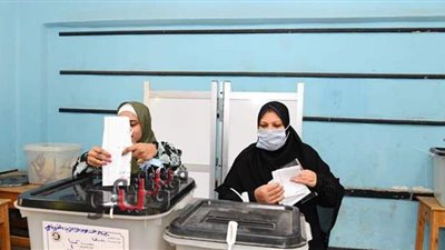 عضو بالمجلس المصري للشئون الخارجية: ننتظر انتخابات رئاسية إلكترونية في 2022 | فيديو