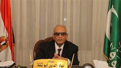 بهاء أبو شقة:  الرئيس السيسي لديه إصرار على بناء دولة ديمقراطية جديثة