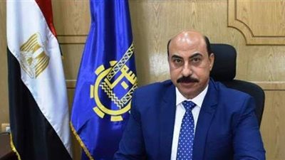 محافظ اسوان: إقبال الناخبين على لجان الانتخابات جيد