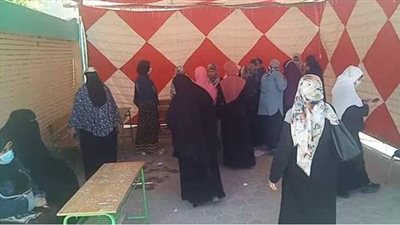 إقبال ملحوظ على اللجان الانتخابية بمطروح | فيديو