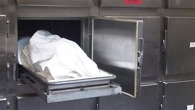 مصرع طبيب في حادث  انقلاب سيارته  على طريق السنبلاوين بالدقهلية