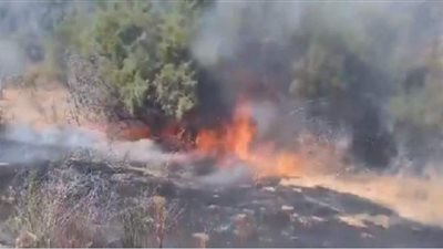 اندلاع حرائق غابات هائلة في مناطق متفرقة من لبنان