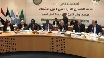 أبو الغيط يؤكد أهمية التنسيق بين مؤسسات العمل العربي المشترك