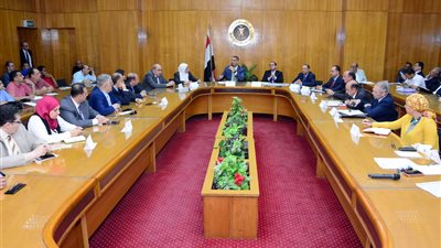 اعتماد 6 مليارات جنيه لبرنامج رد الأعباء.. وتطبيقها العام المالي 19-20