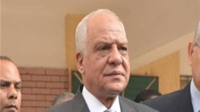 رصف وتركيب أعمدة إنارة حديثة ونخيل بالجزيرة الوسطى بشارع ترسا في الجيزة