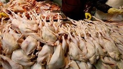 «التموين»: ضبط 18 طن لحوم ودواجن وأسماك فاسدة بالقاهرة الكبرى