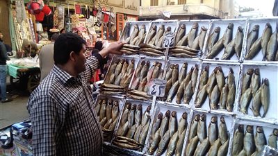 بائعو الفسيخ بالإسكندرية: ارتفاع الأسعار تسبب في ركود الأسواق (صور)