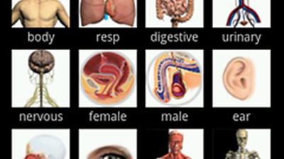 سامسونج يتيح المرجع التعليمي لمساعدة الأطباء والمعلمين على الشرح