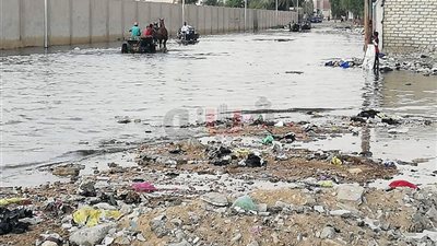 مدارس خارج نطاق الخدمة مع بداية الدراسة.. إجازة بـ«ميت ميمون» في الغربية لإصلاح تلفيات تفجير البوفية.. نقل طلاب مدرسة بأسوان لأخرى دون علم المدرسين.. والصرف الصحي يعطل الزهراء الابتدائية بال