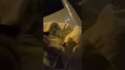 بالفيديو.. مقيم يتنكر في ملابس عامل نظافة للتسول بالحرم النبوي