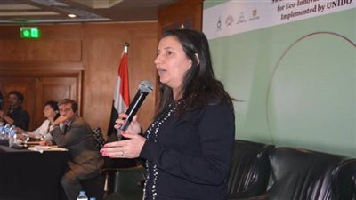 الصباغ: مؤسسات دولية تتوقع انضمام مصر لأفضل 30 اقتصادا بالعالم 2025