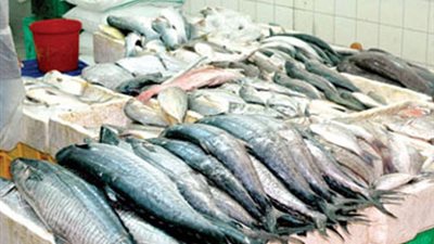 ضبط كمية كبيرة من الأسماك المجمدة المنتهية الصلاحية بالإسماعيلية