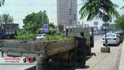 بالفيديو والصور.. إزالة الأشجار والورود بعد مغادرة 