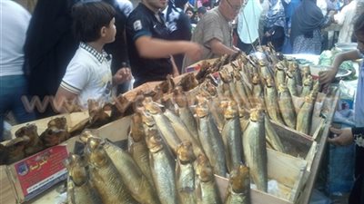 الصحة تستعد لاحتفالات شم النسيم بحملات تفتيش على محال الأسماك والرنجة.. منشور للمديريات لسحب عينات عشوائية للتأكد من صلاحيتها للاستهلاك الآدمي.. ومتابعة مراكز السموم للتأكد من توافر المصل المضاد