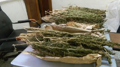 ضبط سائق بحوزته 79 لفافة بانجو وسلاح ناري بميت غمر