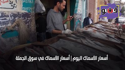 اسعار الأسماك اليوم | اسعار الأسماك في سوق الجملة